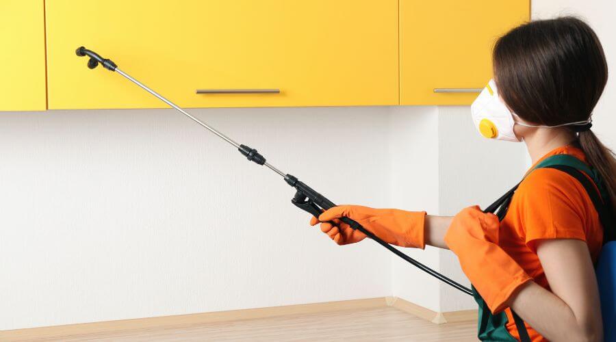 Why choose Spider Extermination Downtown Phoenix for spider extermination in Downtown Phoenix